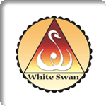 WHITE SWAN