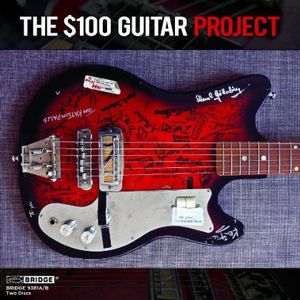 $100 Guitar Project / Various