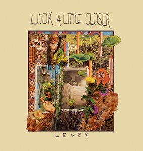 Look a Little Closer