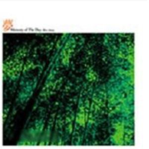 Song of the Moon (IMPORT)