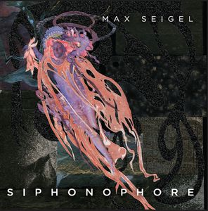 Siphonophore