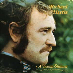 Tramp Shining