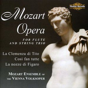 Opera for Flute & Steing Trio