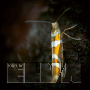 Elva