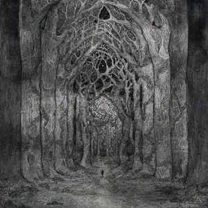 Within the Darkness Between the Starlight
