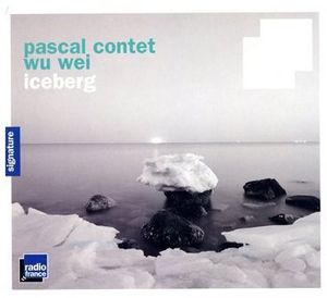 Iceberg