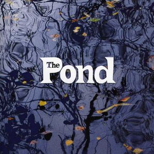 The Pond