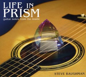 Life in Prism: Guitar Notes from Inside