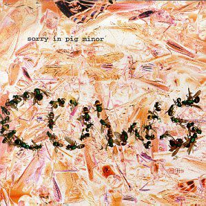 Sorry in Pig Minor