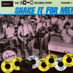 Soma Records Story, Vol. 1