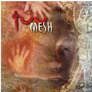 Mesh