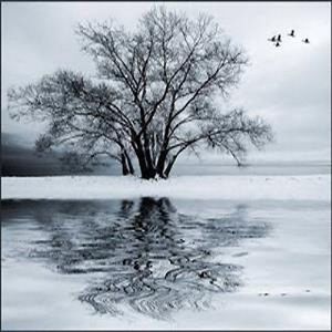Winter Soulstice