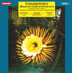 Rococo Variations / Nocturne / Andante