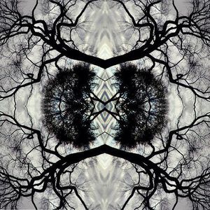 Sonic Mandala Go: Organic Orchestra