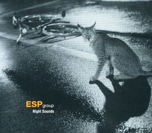 Night Sounds