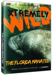 Florida Manatee