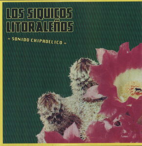Sonido Chipadelico