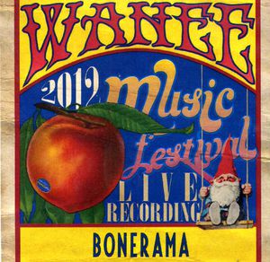 Live at Wanee Festival 2012