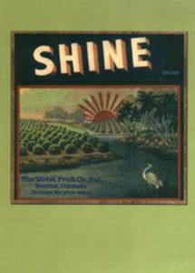Shine