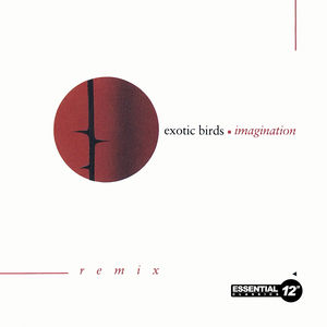 Imagination