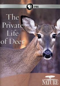 The Private Life of Deer