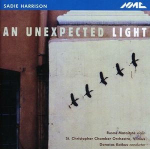 An Unexpected Light