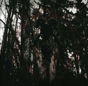 I Guilt Bearer