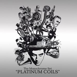Platinum Coils