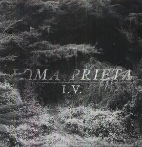 I.V.