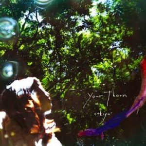 Your Thorn