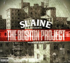 The Boston Project