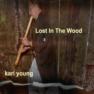 Lost in the Wood