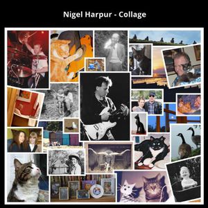 Collage