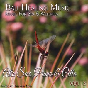 Bali Healing Music 2