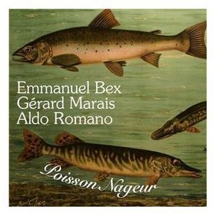 Poisson Nageur