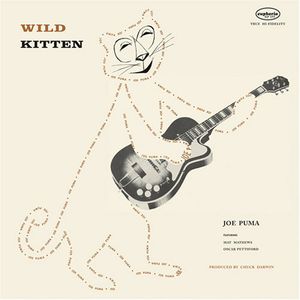Wild Kitten