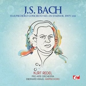 Harpsichord Concerto 1 D minor