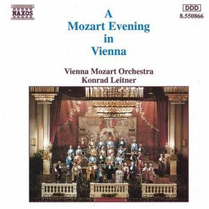 Evening in Vienna
