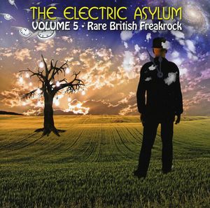 Electric Asylum, Vol. 5: Rare British Freakrock