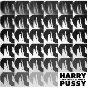 Let's Build a Pussy