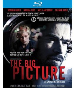 The Big Picture