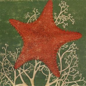 Arm of the Starfish