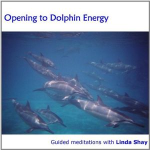 Opening to Dolphin Energy