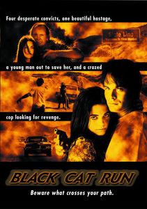 Black Cat Run