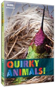 Quirky Animals