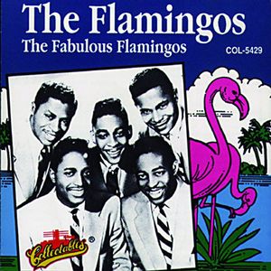 Fabulous Flamingos