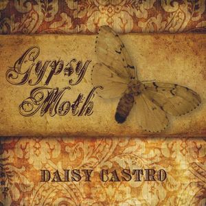 Gypsy Moth