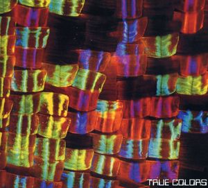 True Color