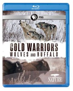 Cold Warriors: Wolves and Buffalo