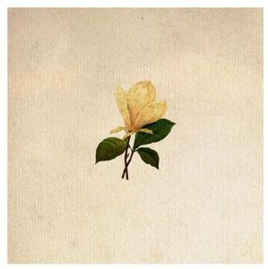 The Grand Magnolias Physical Album
